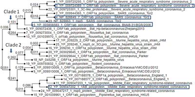 Exploring Phytochemicals of Traditional Medicinal Plants Exhibiting Inhibitory Activity Against Main Protease, Spike Glycoprotein, RNA-dependent RNA Polymerase and Non-Structural Proteins of SARS-CoV-2 Through Virtual Screening